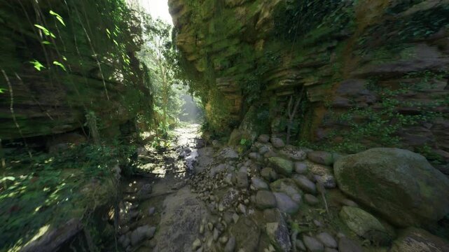 Shaded rocky grotto with carpeted ferns, moss layers, pebble floor, cool humidity, microclimate ideal for botanical observation, research inspiration, tranquil