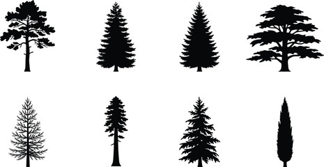 Collection of eight black evergreen and coniferous tree silhouettes for forest, nature, and winter themes © MstRupali