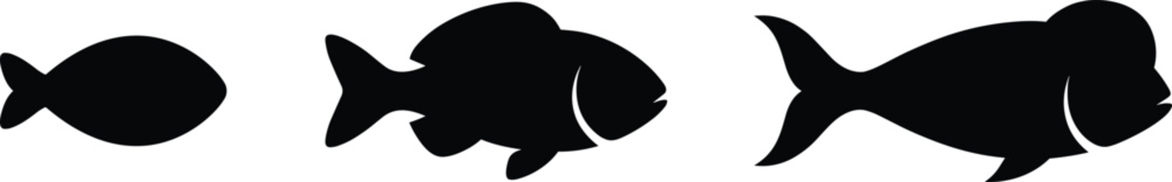 Set of black fish silhouettes showing growth stages or different species isolated on a white background vector illustration