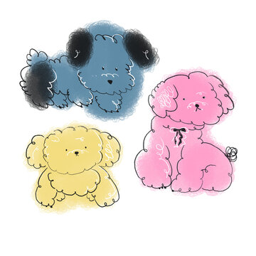 three fluffy-haired puppies