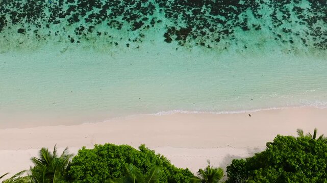 Turquoise water next to a white sandy beach bordered by dense green vegetation, offering a tropical paradise view. Anse Forbans. Seychelles, Mahe.