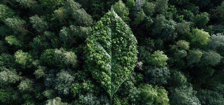 Dense forest arranged to create a green leaf symbolizing sustainability and environmental care from an aerial perspective.