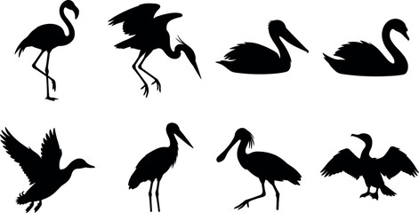 Obraz premium Black Silhouette Collection of Water Birds Including Flamingo Heron Pelican Swan Duck Stork Ibis Cormorant