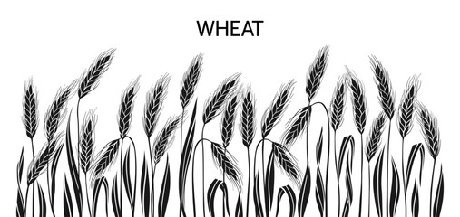 Golden wheat ear background or banner. Black silhouette cereal grain spikelet and stalk pattern for bakery bread beer packaging, frame design. Agriculture harvest farm template. Vector web banner © neliakott