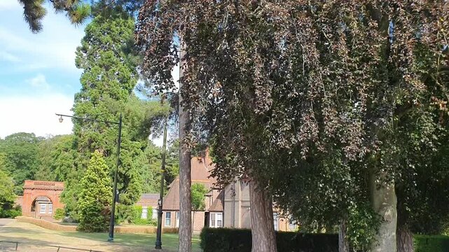 Trees at Local Public Park of Luton City England UK, Footage Was Captured During Walk on July 9th, 2026