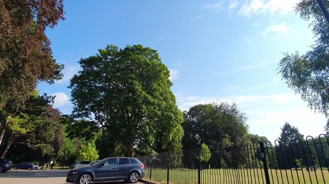 Trees at Local Public Park of Luton City England UK, Footage Was Captured During Walk on July 9th, 2026