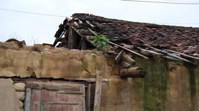 an old, weathered residential building in a Chinese village with crumbling mud brick walls, an aged wooden doorway, and a partially collapsed traditional clay tile roof 