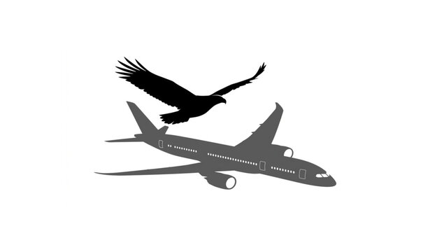 Conceptual aviation vector illustration of flying eagle casting a passenger airplane shadow metaphor for freedom and vision
