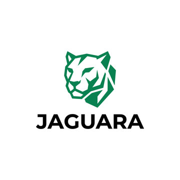 Green jaguar head logo symbol icon.
