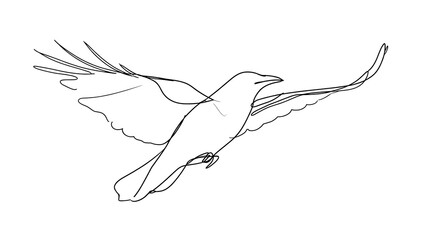 Fototapeta premium Hummingbird line art illustration white background.