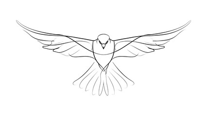 Fototapeta premium Minimalist bird drawing on white background.
