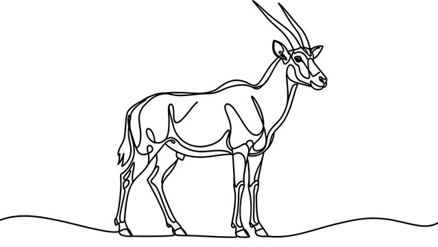 Oryx antelope line art illustration white background.