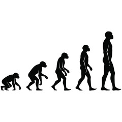 Obraz premium Stages of human evolution silhouette showing progression of species