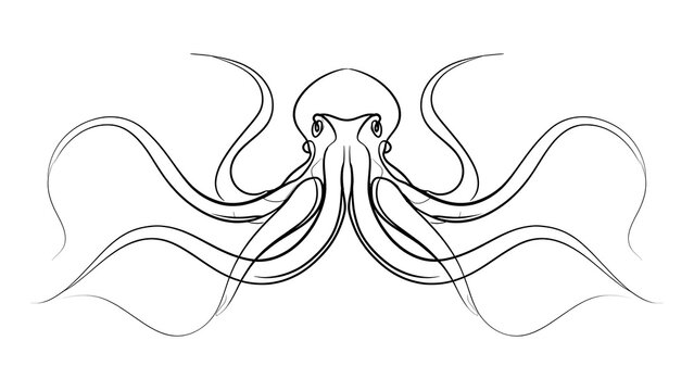 Elegant octopus line art illustration white background.