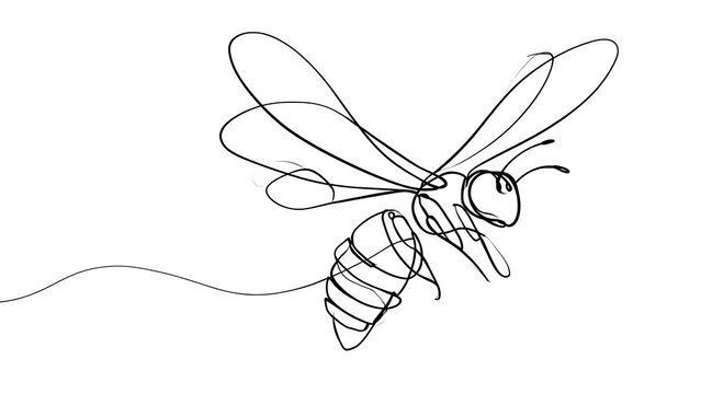 Minimalist line art bee drawing white background.