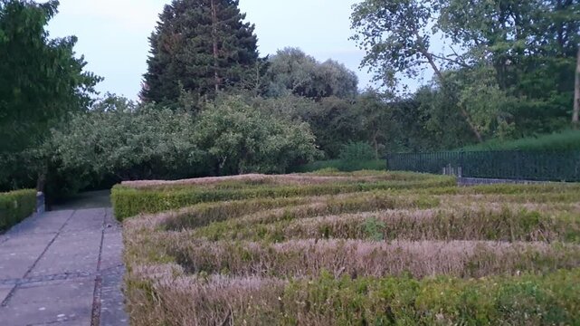 Trees at Local Public Park of Luton City England UK, Footage Was Captured During Walk on July 9th, 2026