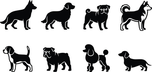 Dog breeds black silhouette icon set featuring german shepherd golden retriever pug husky and bulldo © ORCHONA