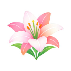 Obraz premium PNG Elegant pink lily illustration