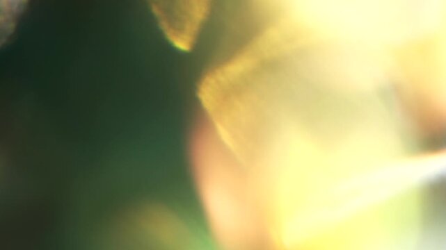 Cinematic golden hour flares and pale green light overlays in motion. Good for modern vj loop visuals.
