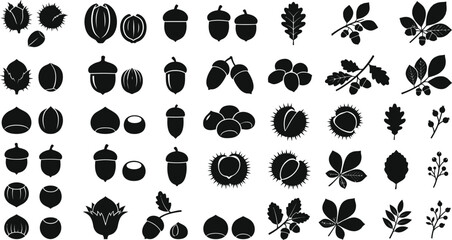 Forest nuts and autumn seeds silhouette vector icon set. Minimalist wild hazelnut, acorn oak tree seeds, spiky chestnut pods, and woodland foliage branch clipart collection © ahmda_islam