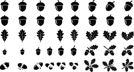 Acorn and oak leaves silhouette vector icon set. Minimalist oak tree nut seed, cracked shells, and autumn botanical branches clipart collection isolated on transparent background. © ahmda_islam