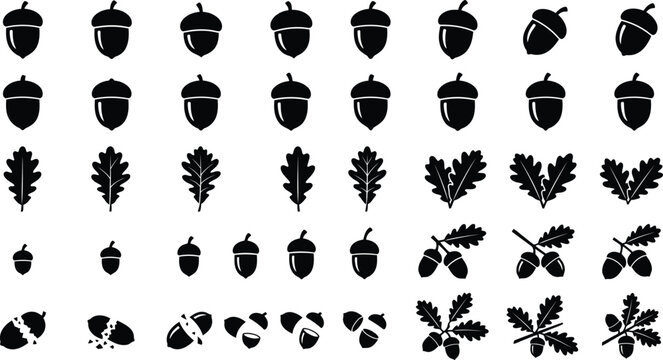Acorn and oak leaves silhouette vector icon set. Minimalist oak tree nut seed, cracked shells, and autumn botanical branches clipart collection isolated on transparent background.