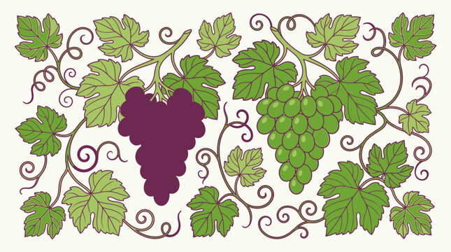 Ilustraci&oacute;n vectorial decorativa de racimos de uvas moradas y verdes con hojas de parra y zarcillos entrelazados sobre un fondo claro, ideal para dise&ntilde;o de etiquetas de vino.