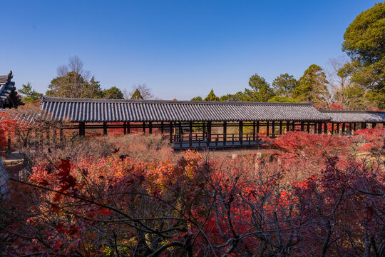 紅葉に包まれる秋の京都東福寺通天橋