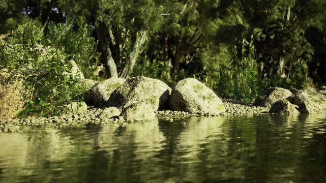 Rocky shoreline with reflective water ripples, clustered boulders, textured stones, algae patches, shallow current and crisp geological detail for outdoor