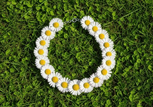 Interlinked white daisies form a natural floral necklace laying on lush green grass, showcasing intricate organic patterns and summer beauty, daisy, center, background