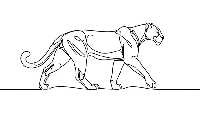 Cheeta walking line art white background.