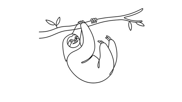 Sloth hanging from tree branch white background.