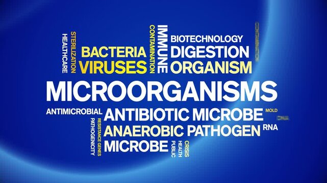 Microorganisms animated word cloud-text design animation tag kinetic typography seamless loop.
