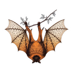 Naklejka premium Dynamic Orange Bat Hanging From Branch Intricate Detailed Wing Pattern Vector Art Graphics