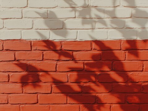white and red brick wall with shadows of leaves cast across the surface in natural sunlight.