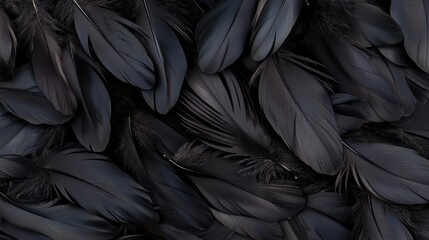 Obraz premium Close-up image of overlapping black feathers with detailed texture and subtle shades of dark grey.