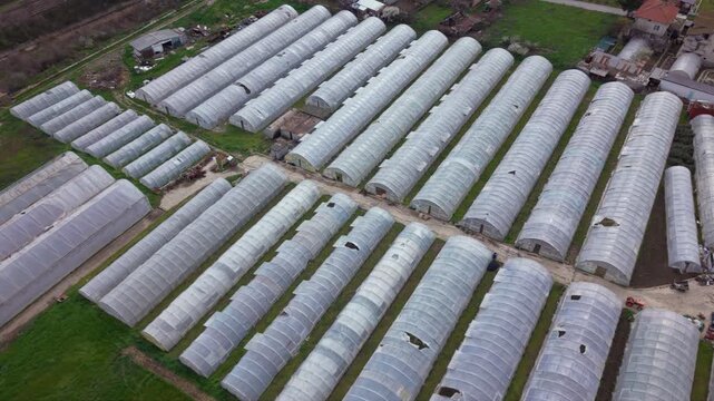 Aerial drone view of a large greenhouse complex with rows of plastic polytunnels used for vegetable cultivation. Intensive farming, horticulture production and modern agricultural infrastructure.