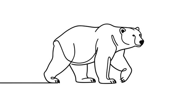 Minimalist bear illustration on white background.