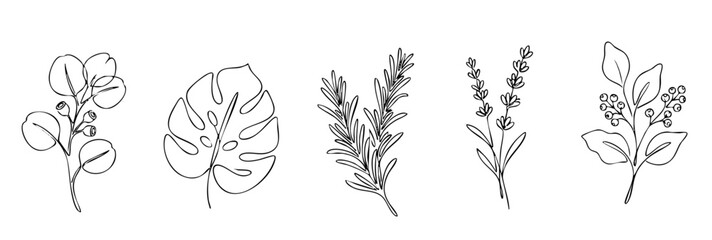 botanical line art set with eucalyptus monstera leaf rosemary lavender and berry branch illustrations © Imran
