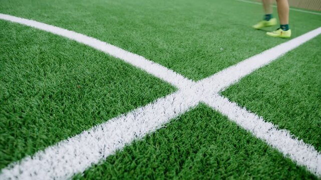 Indoor football field features artificial turf with crisp white painted lines. Prepared sports arena looks ready for competitive matches