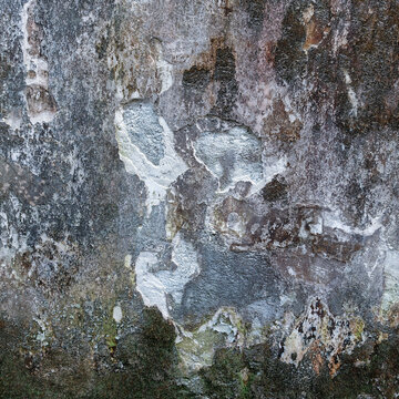Old concrete surface with natural weathering and stains. Abstract wall texture.