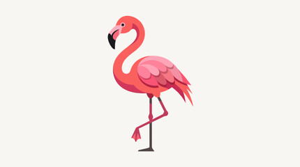 Obraz premium Graceful pink flamingo standing on one leg against white background