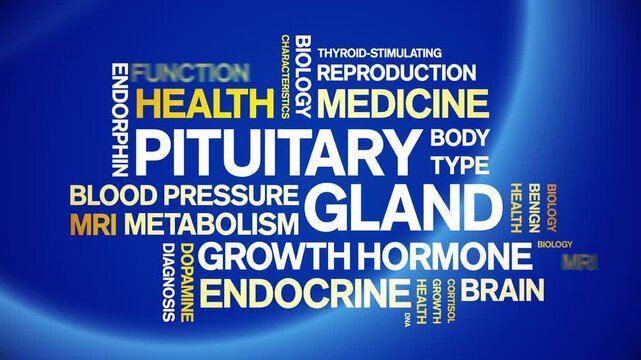 Pituitary Gland animated word cloud-animation tag kinetic typography seamless loop.