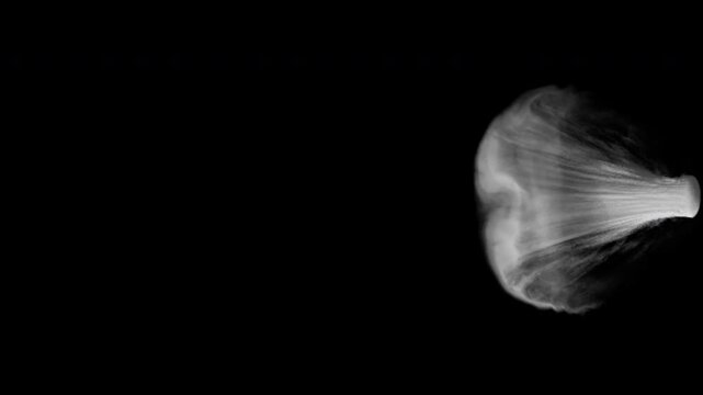 A steam Shooter from a the top view. look for other perspectives on my portfolio.

Ideal for fx shots, and overlays, engines, machinery, vehicles, motors, steam systems.

comes as 1920&times;1080 without al