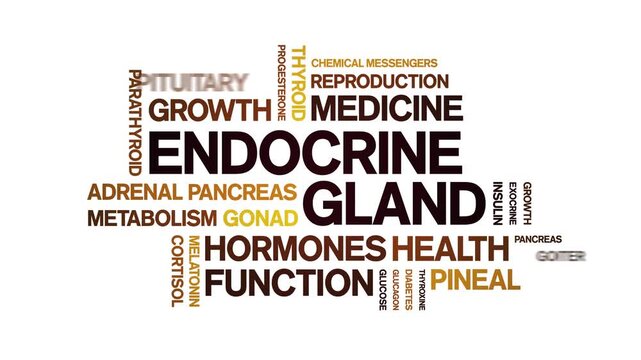 Endocrine Gland animated word cloud-animation tag kinetic typography seamless loop.
