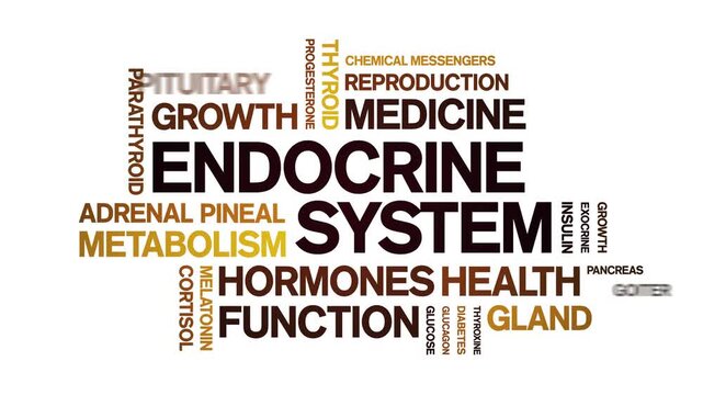 Endocrine System animated word cloud-animation tag kinetic typography seamless loop.