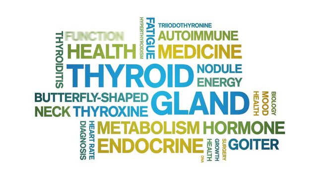 Thyroid Gland animated word cloud-animation tag kinetic typography seamless loop.