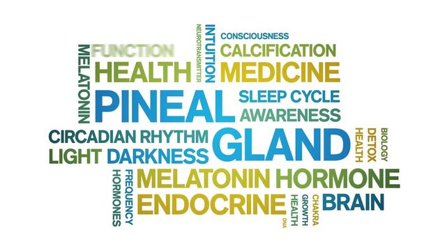 Pineal Gland animated word cloud-animation tag kinetic typography seamless loop.
