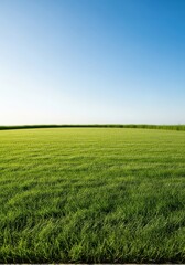 Obraz premium A perfectly maintained, freshly cut green lawn extending across a sunny domestic yard, ready for summer activities and relaxation, texture, manicured, perfect