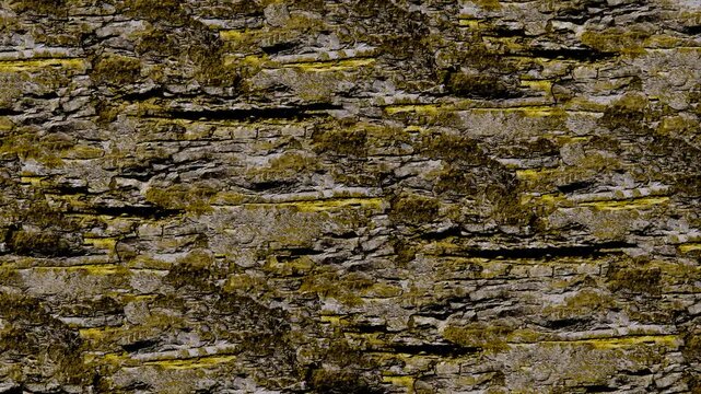 A highly detailed macro view of a rough, organic surface resembling weathered ancient tree bark or layered natural stone